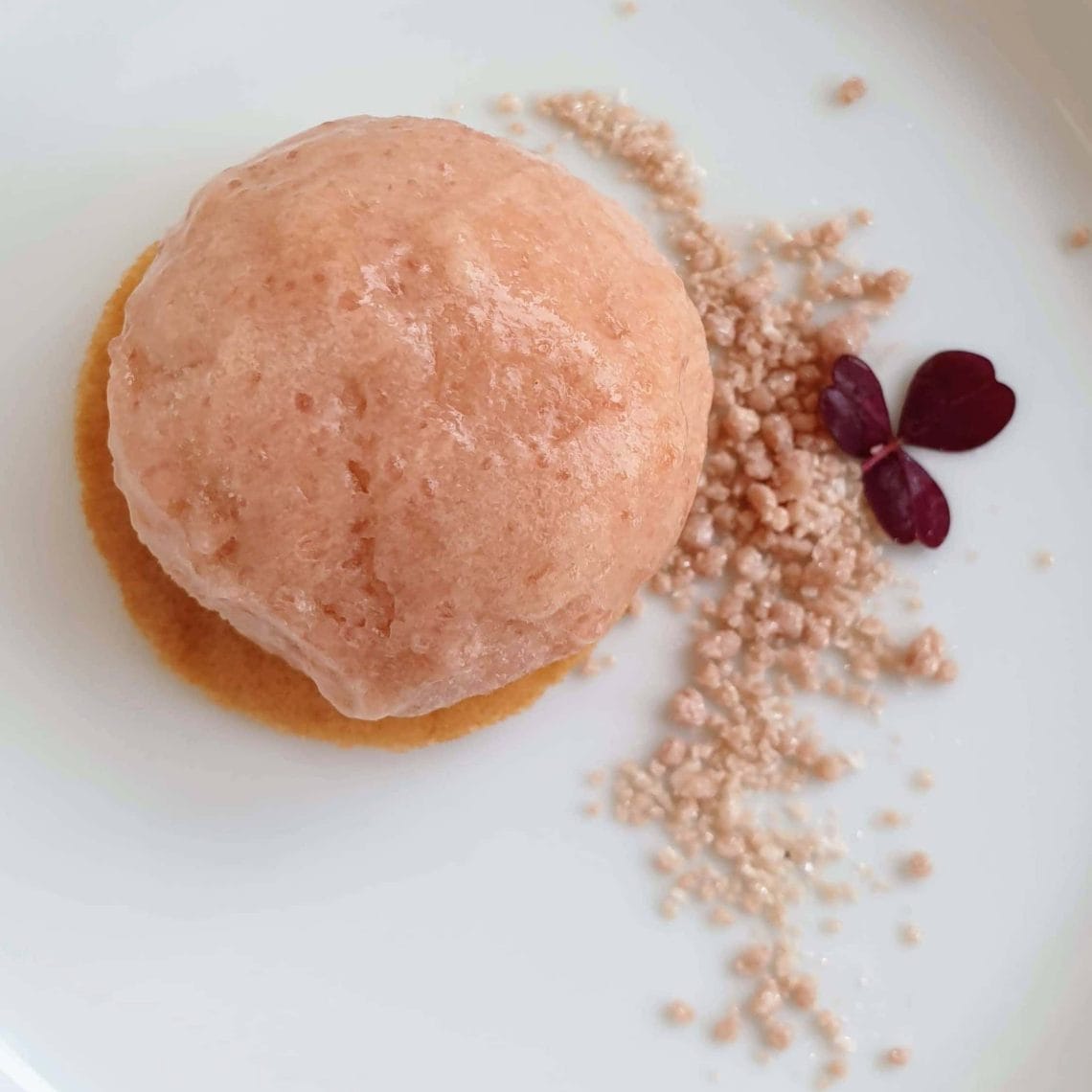 Sådan laver en lækker rabarbersorbet. En frisk og let syrlig sorbet, som du kan spise alene eller servere med bagte rabarber og flødeis – eller bruge i en drink. Find opskrifter, gratis print og inspiration til årets gang på danishthings.com #DanishThings #rabarber #rabarbersorbet #sorbet #is #haverabarber #dessert