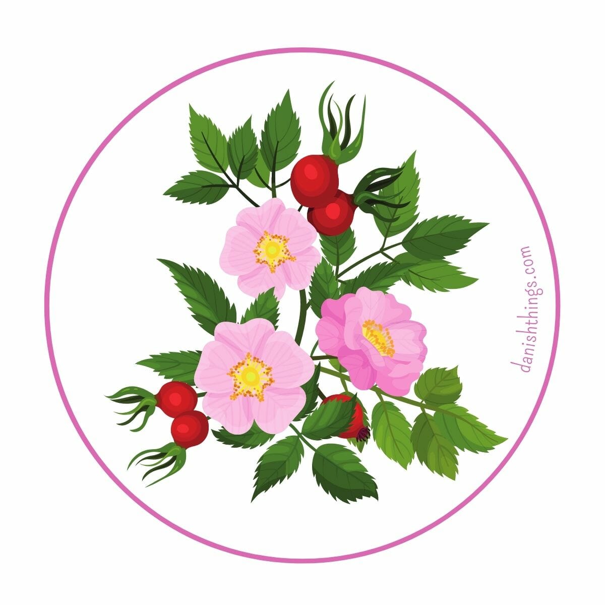 Easy rose syrup - a rosehip rose petal simple syrup - Danish Things