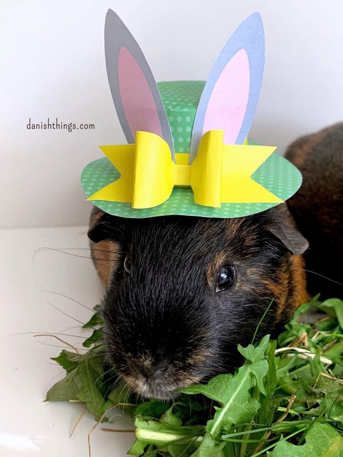 Påskehat af papir – en påskedekoration. En anderledes påskeudsmykning i forårsfarver. Se hvordan du laver din egen Easter bonnet. Brug den som dekoration på påskebordet – eller til at få din egen påskehare. Find opskrifter, gratis download, print og inspiration til årets gang på danishthings.com ©Christel Parby #DanishThings #påske #påskehat #påskehare #påskeharehat #dekoration #lavselv #påskeklip #papir #nem #påskedekoration #papirklip #pynt #påskebord #papirdekoration #gratis #printselv #påskehatafpapir #påskeudsmykning #easterbonnet